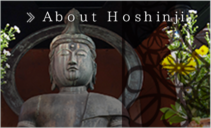 About Hoshinji